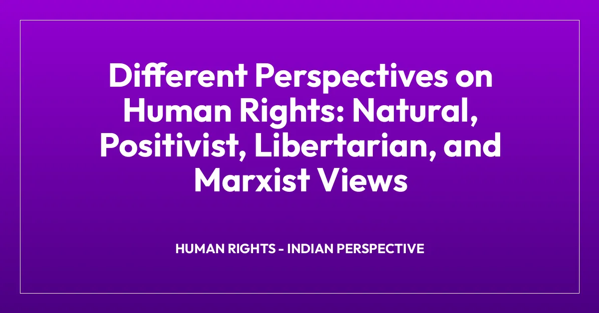 Different Perspectives on Human Rights: Natural, Positivist, Libertarian, and Marxist Views